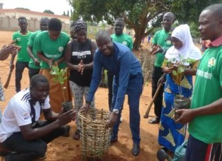 Togo : Journée de l’arbre, “le NET pour un environnement sain”