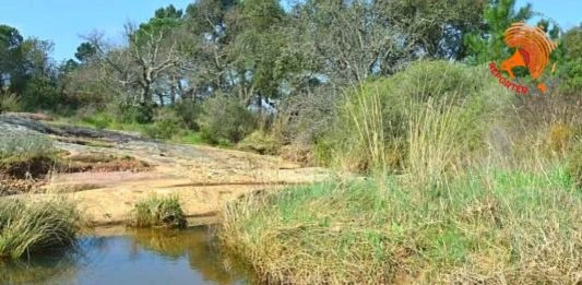 Togo: La sauvegarde de l’écosystème au cœur du PRAPT
