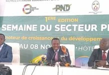 Togo : Pour le secteur privé, des politiques portent leurs fruits