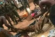 Togo: La police arrête ce charlatan usager de corps humains séchés pour des rituels