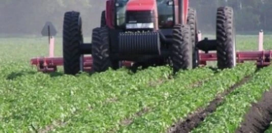 Togo: 100.000 tonnes d’engrais vivriers offertes pour soutenir les producteurs